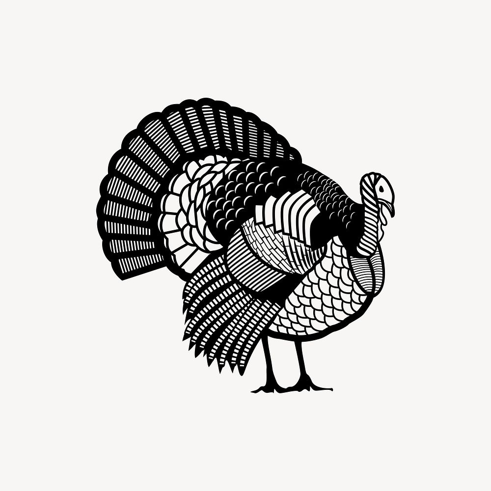 Turkey bird silhouette   illustration. Free public domain CC0 image.