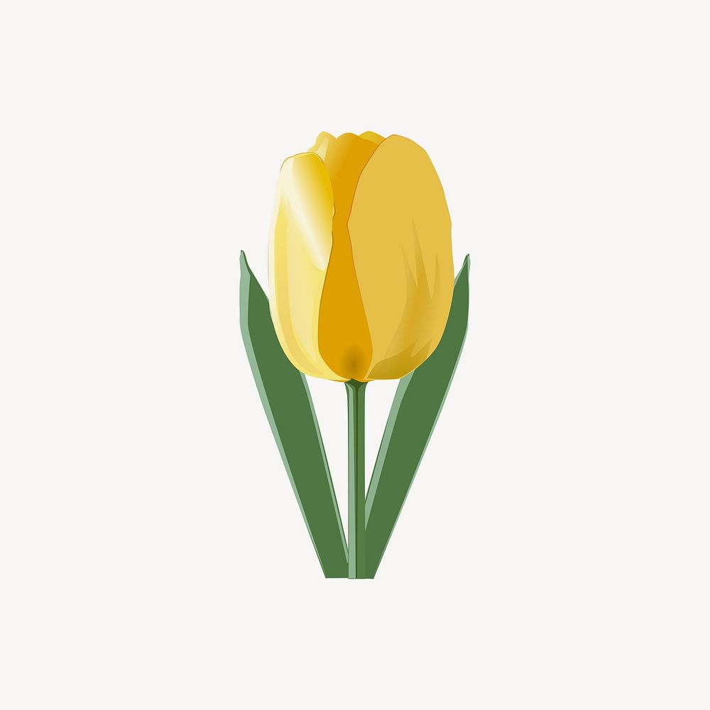 Yellow tulip flower illustration vector. Free public domain CC0 image.