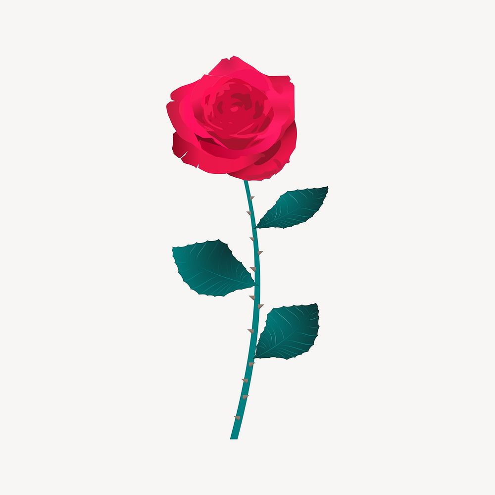 Red rose flower   illustration. Free public domain CC0 image.