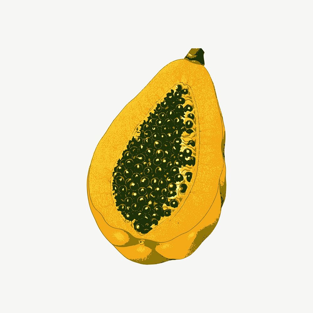Half papaya fruit illustration psd. Free public domain CC0 image.