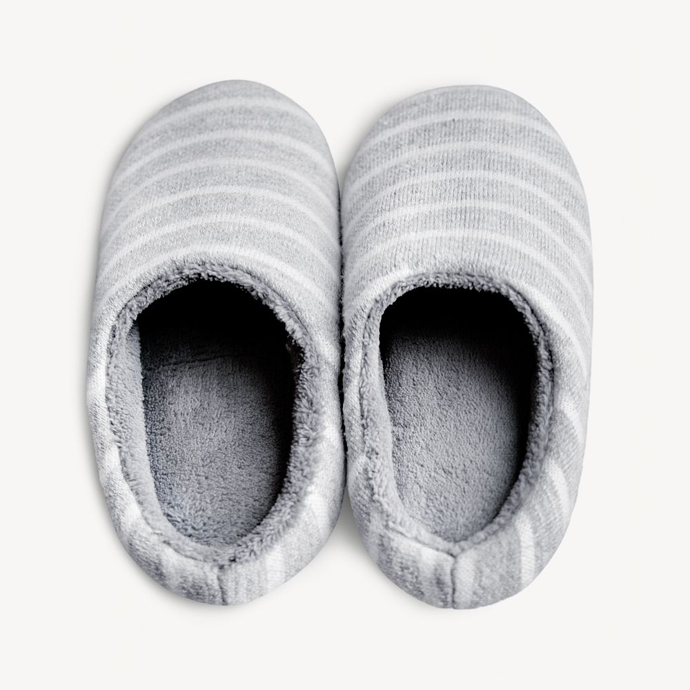 House comfortable slipper  isolated image