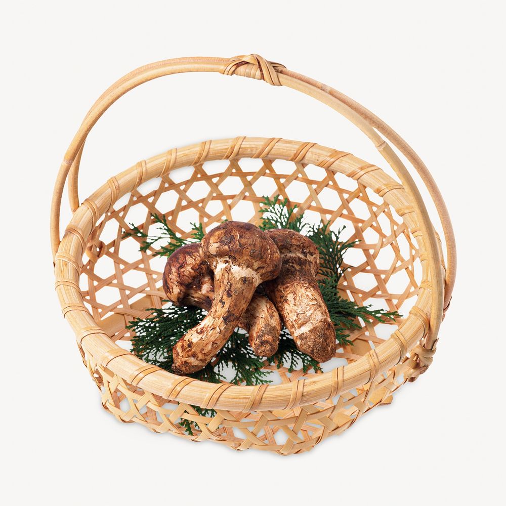 Mushroom basket Isolated image