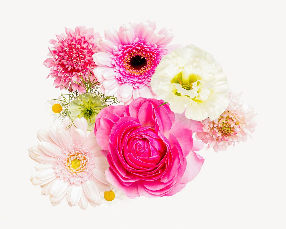 Pink spring garden flower arrangement isolated image