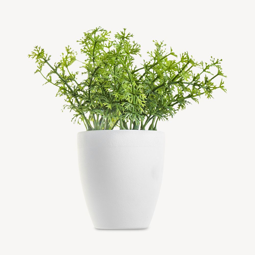 Potted plant image element