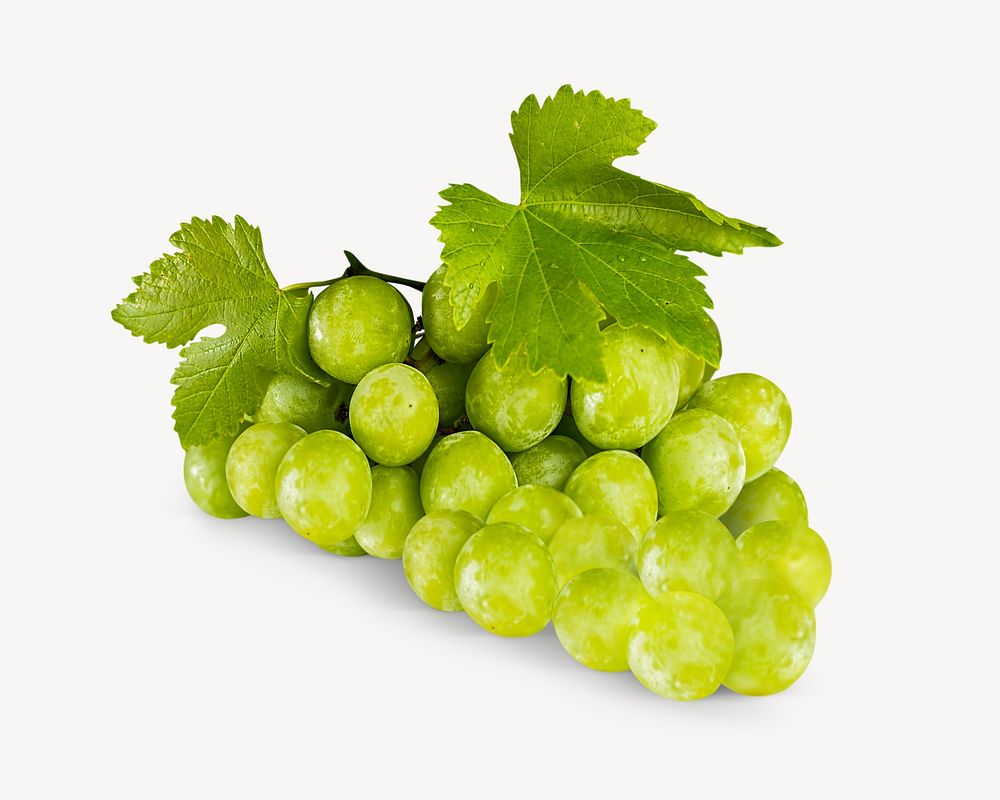 Fresh green grapes  isolated image