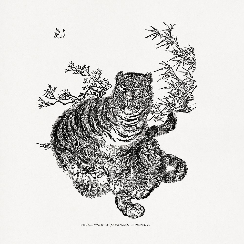 Tiger, traditional Japanese animal illustration. Public domain image from our own original 1884 edition of The Ornamental…
