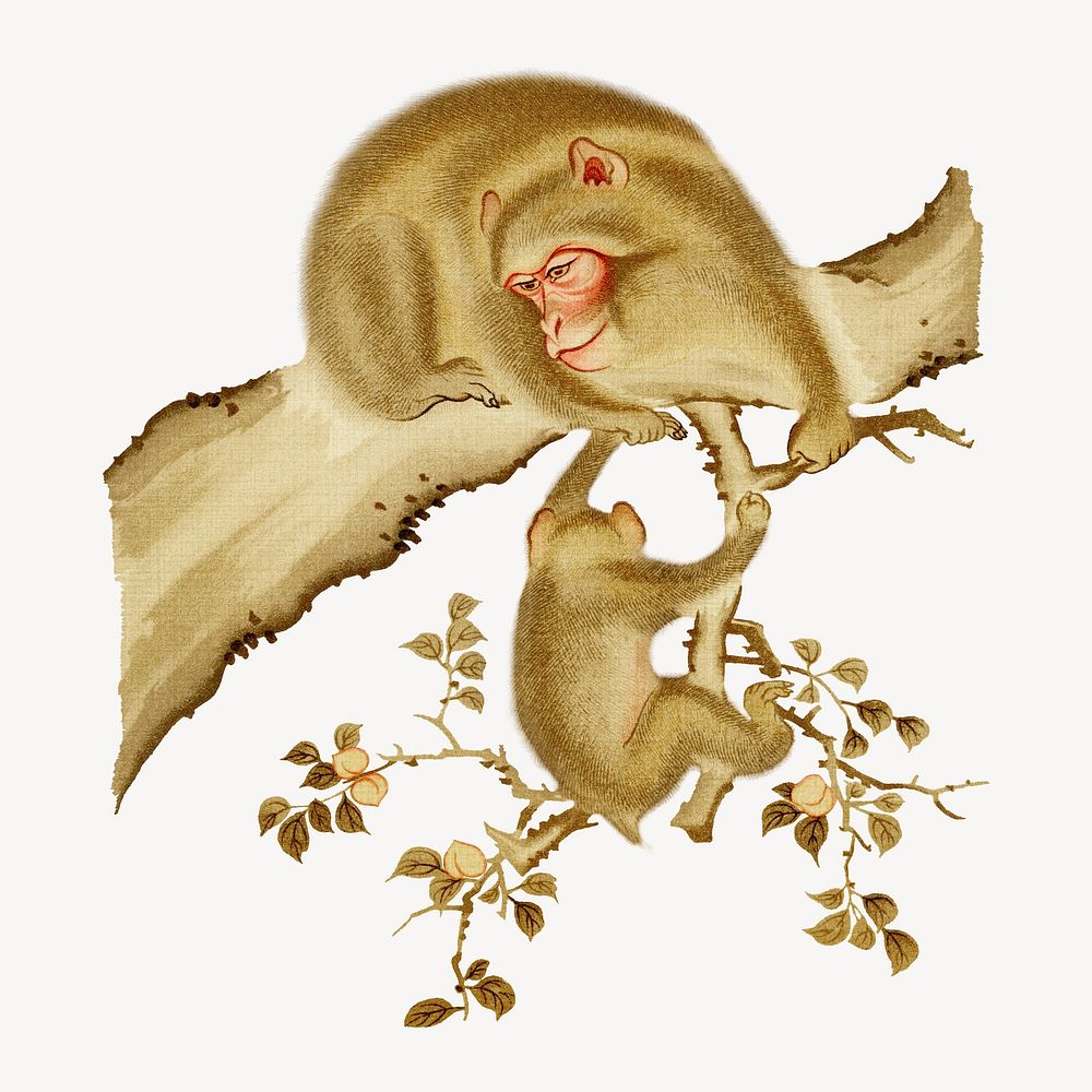 Baby monkey and mother, vintage animal painting by G.A. Audsley-Japanese illustration. Remixed by rawpixel.