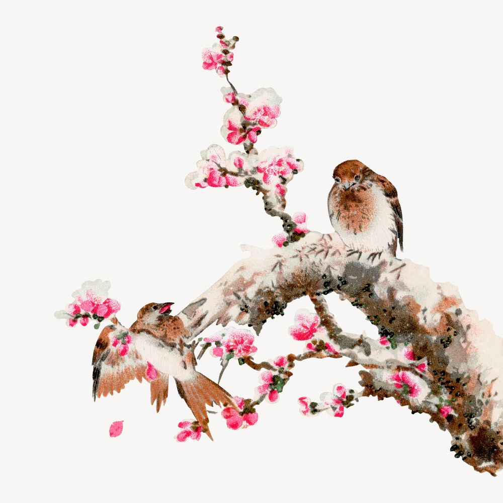 Bird, vintage animal painting by G.A. Audsley-Japanese illustration. Remixed by rawpixel.