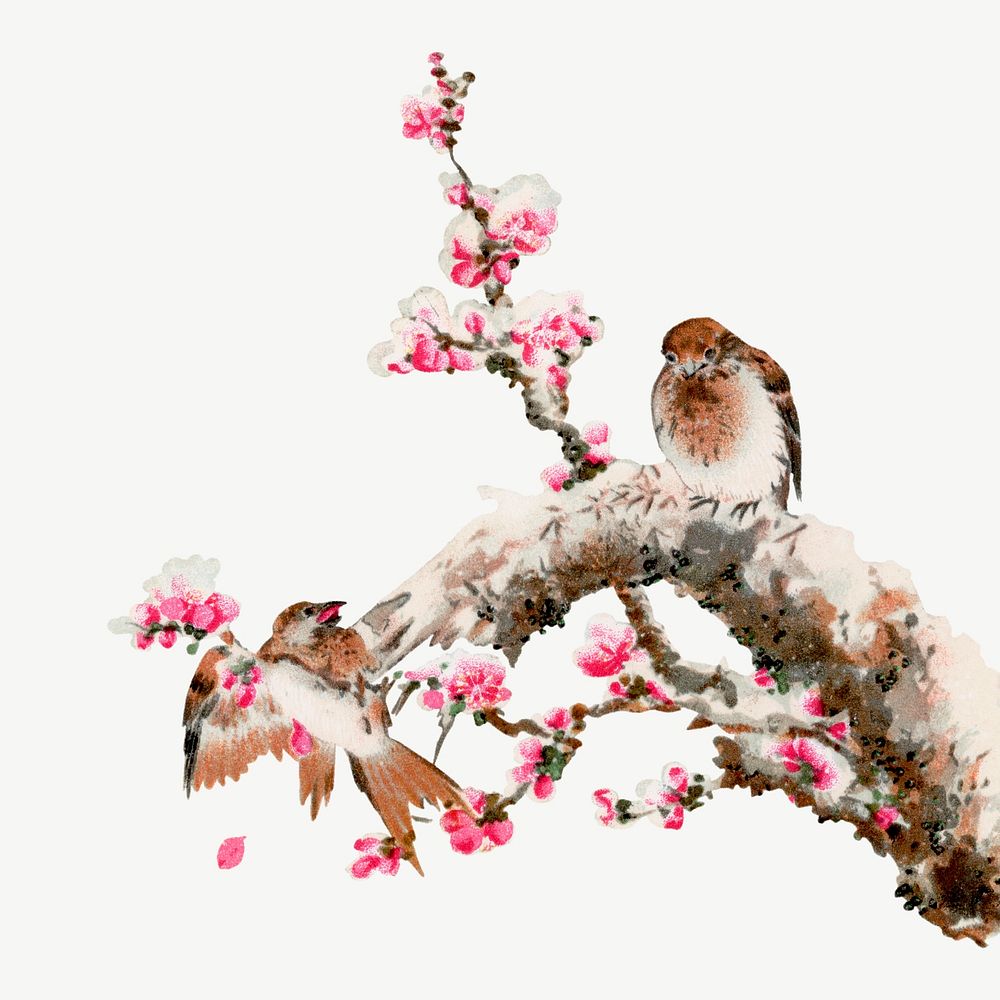 Bird, vintage animal painting by G.A. Audsley-Japanese illustration psd. Remixed by rawpixel.