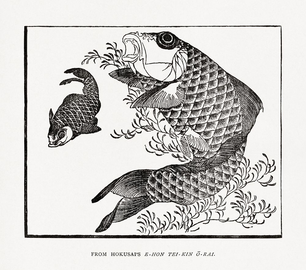 Hokusai's carp fish, Japanese animal illustration. Public domain image from our own original 1884 edition of The Ornamental…