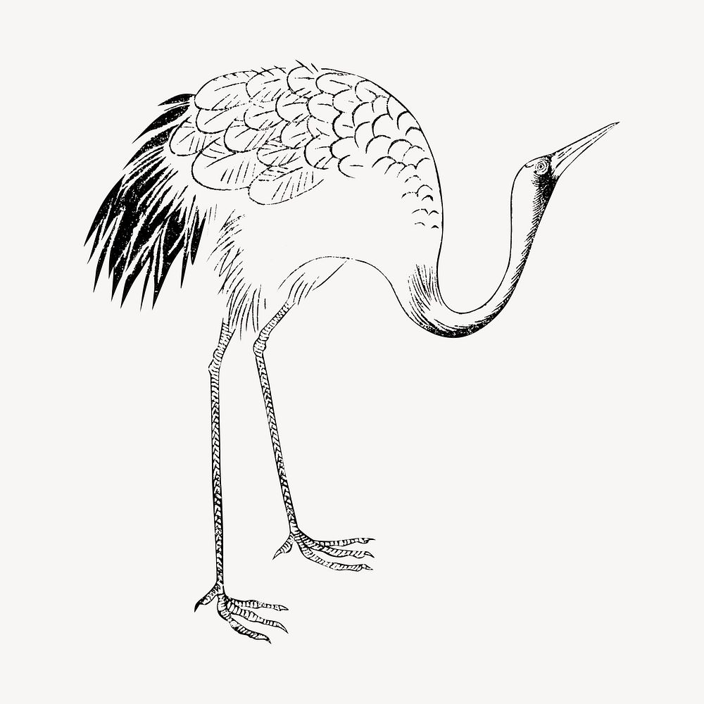 Japanese crane bird, vintage animal by Ogata Korin from the Korin Shinsen Hiaku-Dzu-Japanese illustration. Remixed by…