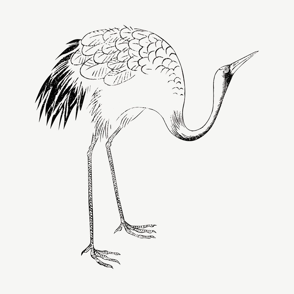 Japanese crane bird, vintage animal by Ogata Korin from the Korin Shinsen Hiaku-Dzu-Japanese illustration psd. Remixed by…