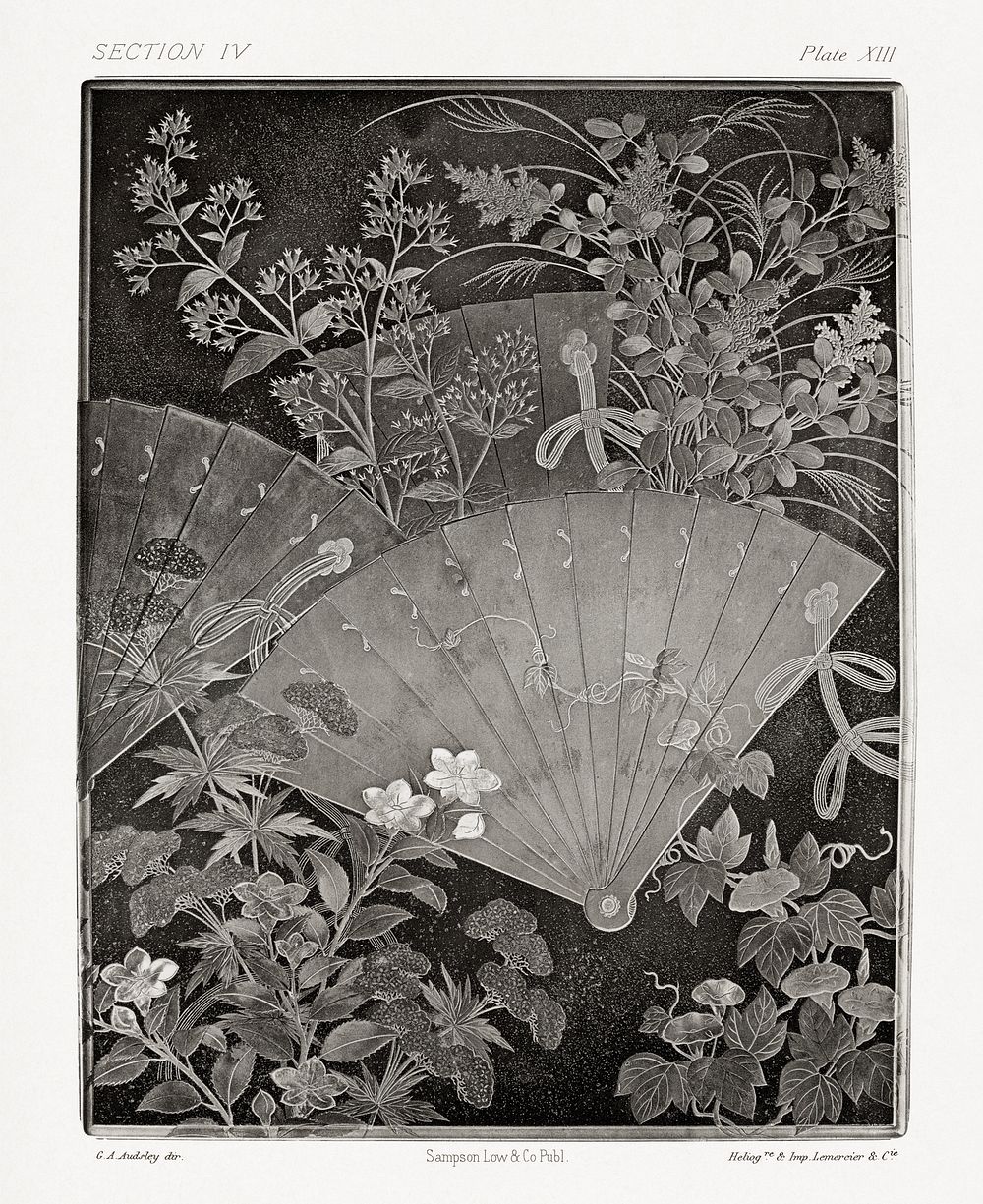 Charcoal illustration of fans and plants from section IV plate XIII. by G.A. Audsley-Japanese illustration. Public domain…