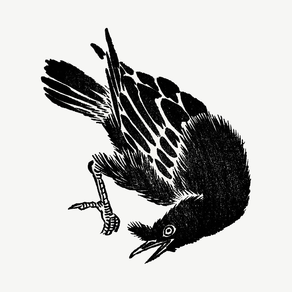 Crow bird, vintage animal illustration.  psd. Remixed by rawpixel.