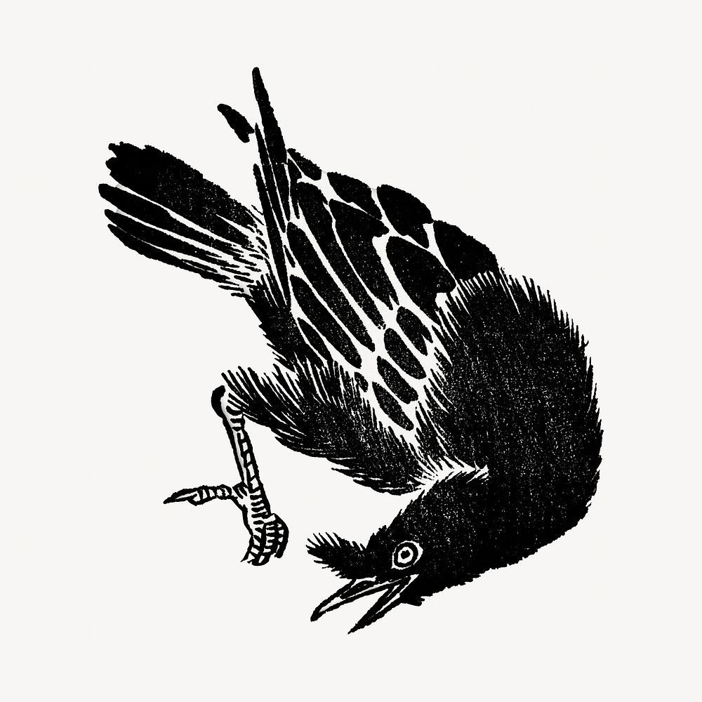 Crow bird, vintage animal illustration. . Remixed by rawpixel.