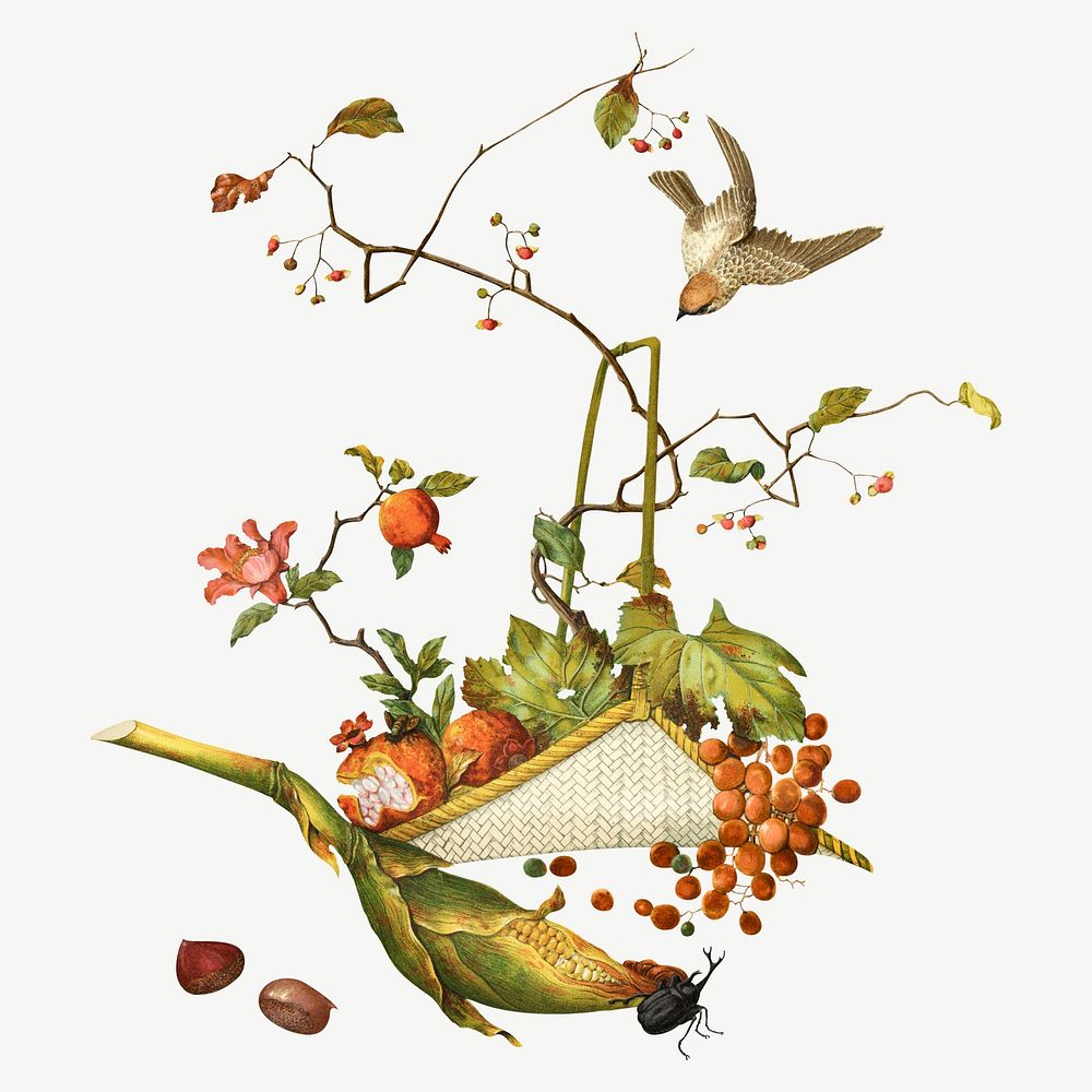 Autumn fruit basket, Japanese botanical illustration psd. Remixed by rawpixel.