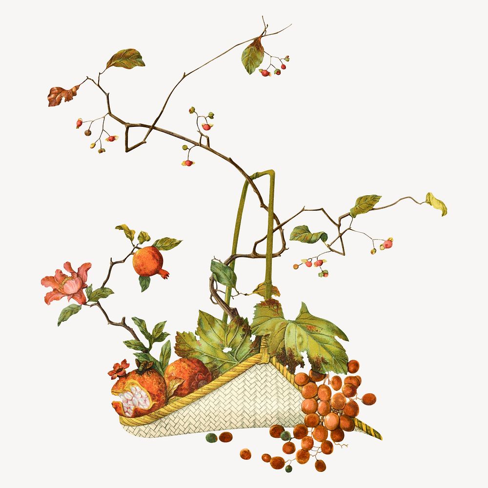 Autumn fruit basket, Japanese botanical illustration. Remixed by rawpixel.