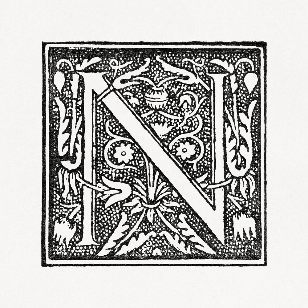 Capital N alphabet letter, ornamental font design. Public domain image from our own original 1884 edition of The Ornamental…