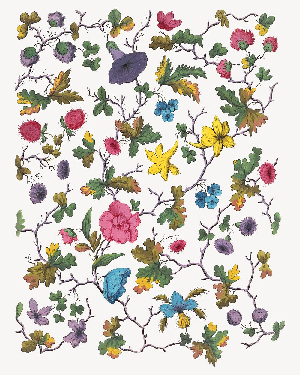 Flower  vintage illustration. Remixed by rawpixel. 