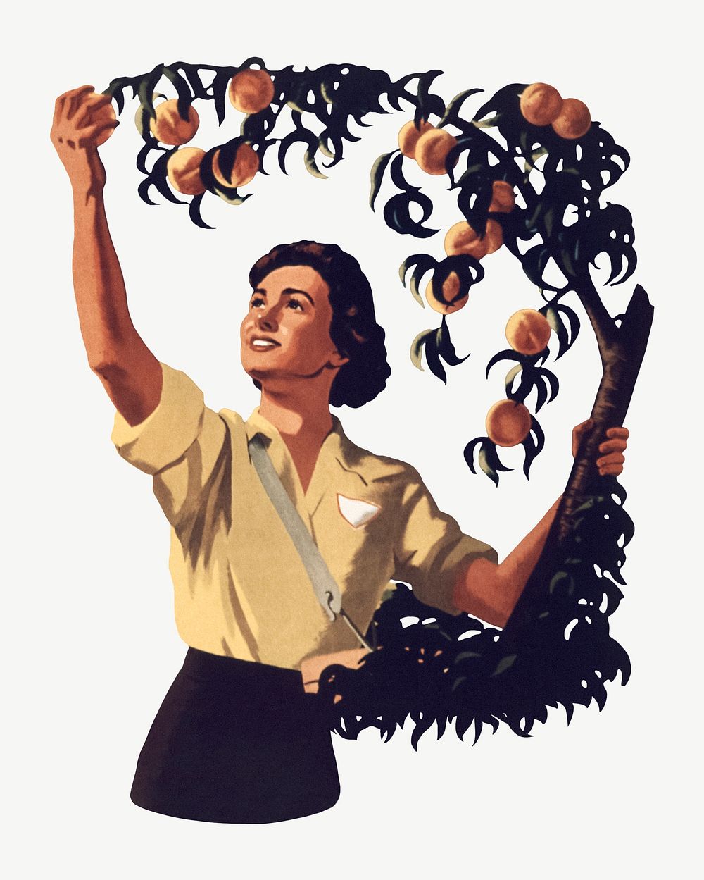 Woman picking fruit vintage illustration psd. Remixed by rawpixel. 