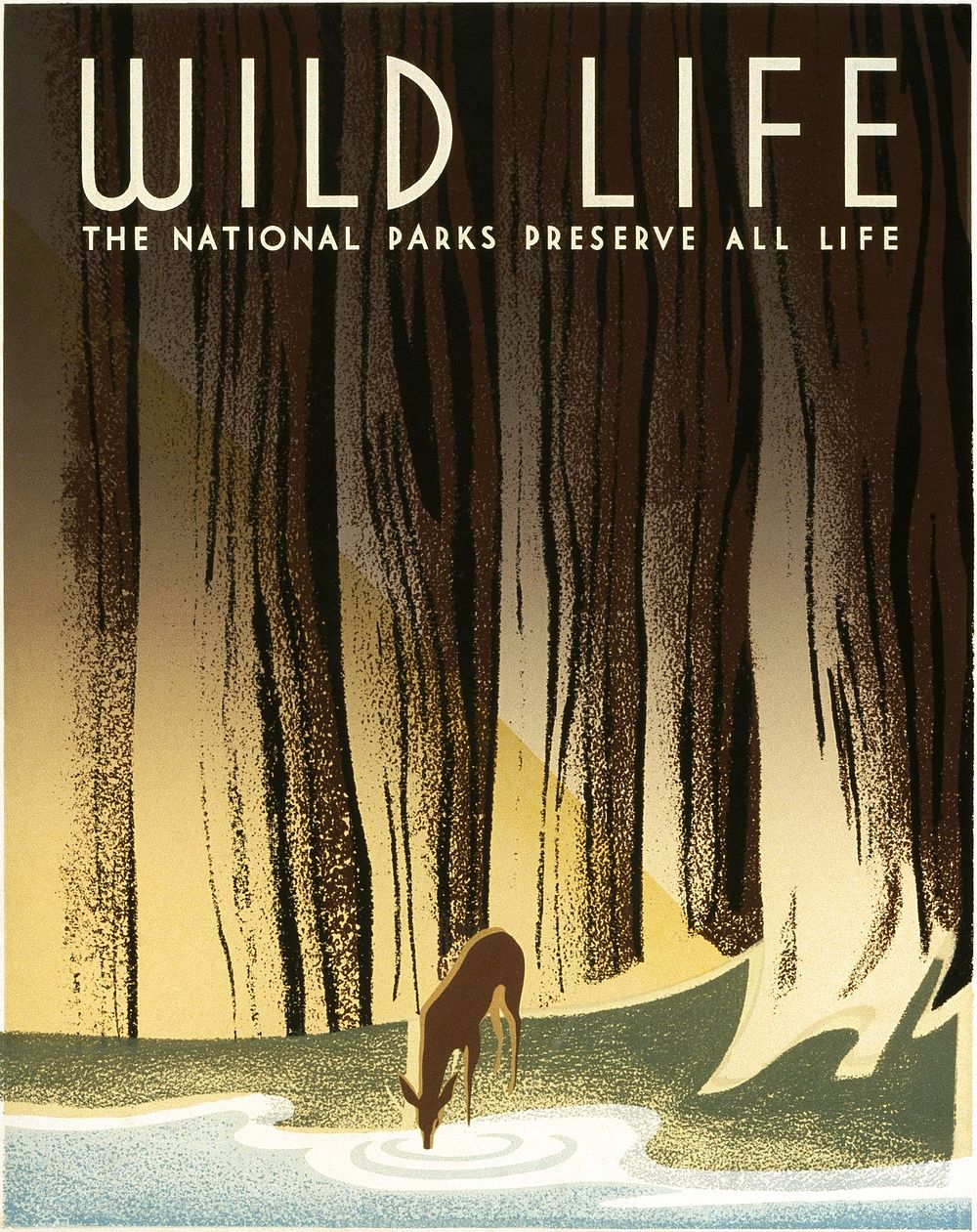 "Wild life The national parks preserve all life." Poster for United States National Park Service, showing a deer drinking…