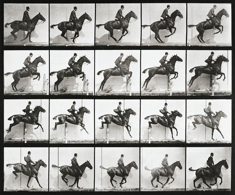 Animal Locomotion Plate 640 (1887), horse riding photographed by Eadweard Muybridge. Original public domain image from The…