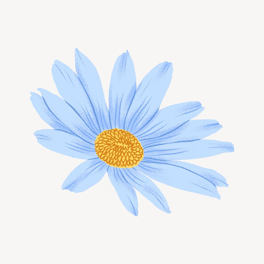 Blue flower, aesthetic illustration