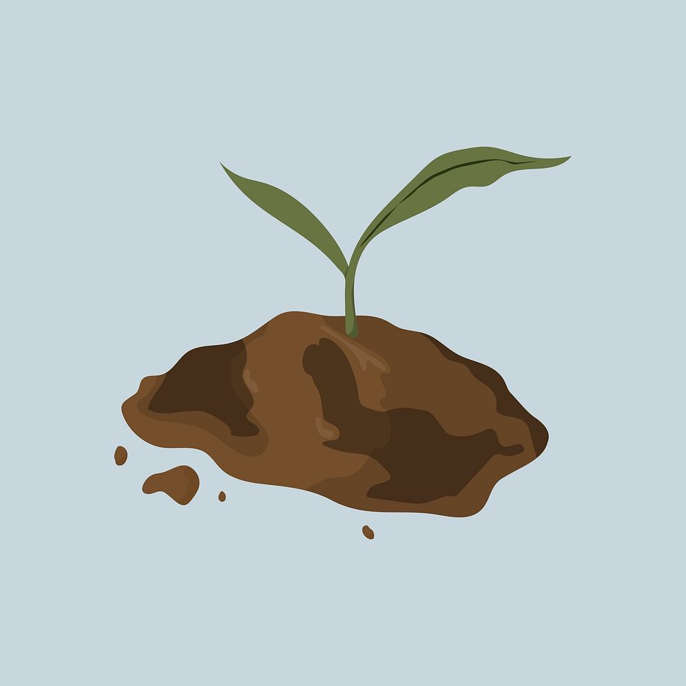 Growing plant, nature illustration vector
