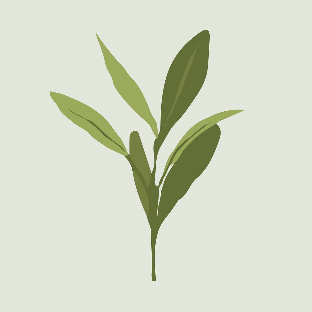Green plant, environment illustration vector