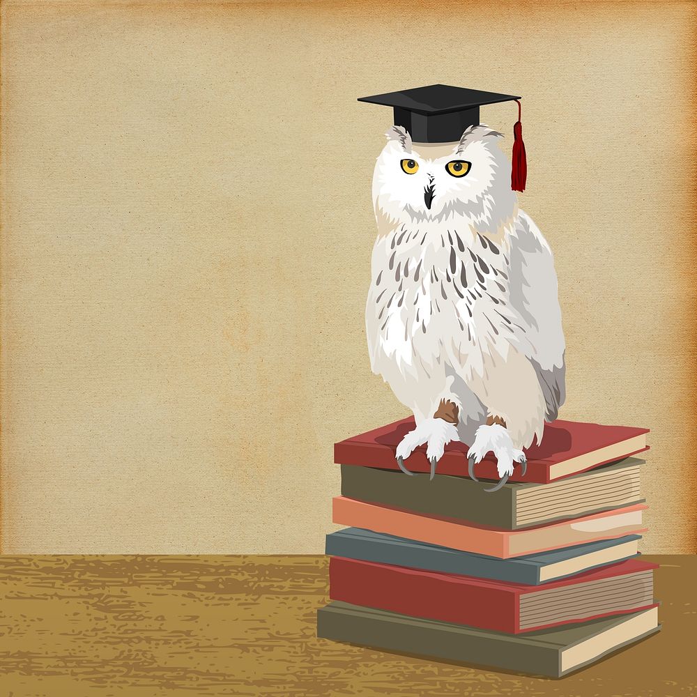 Graduation owl background, education image