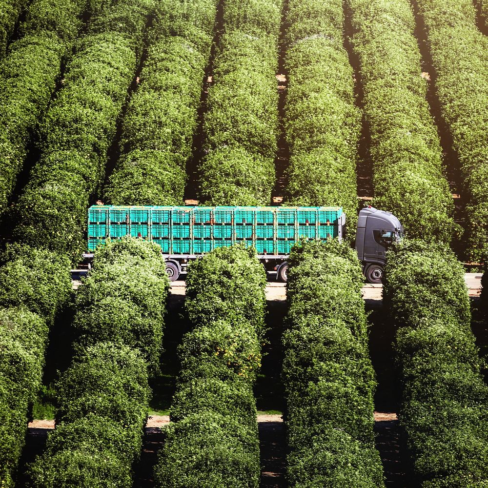 Agricultural business, truck in farm