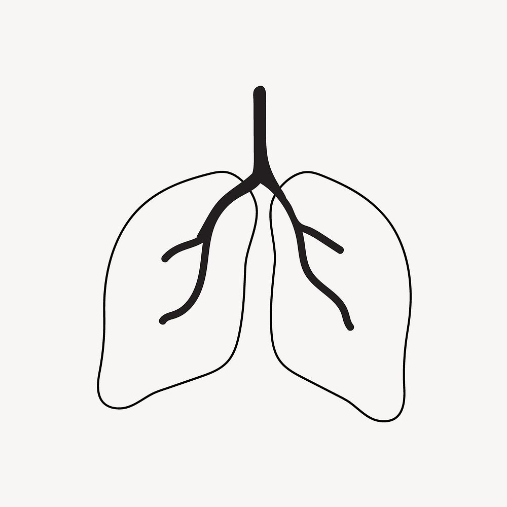 Lungs line art vector