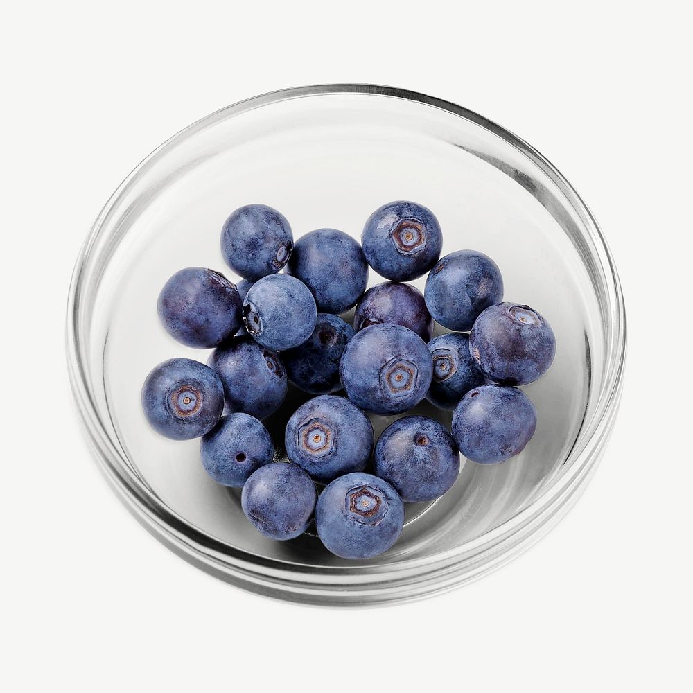 Blueberries bowl design element psd