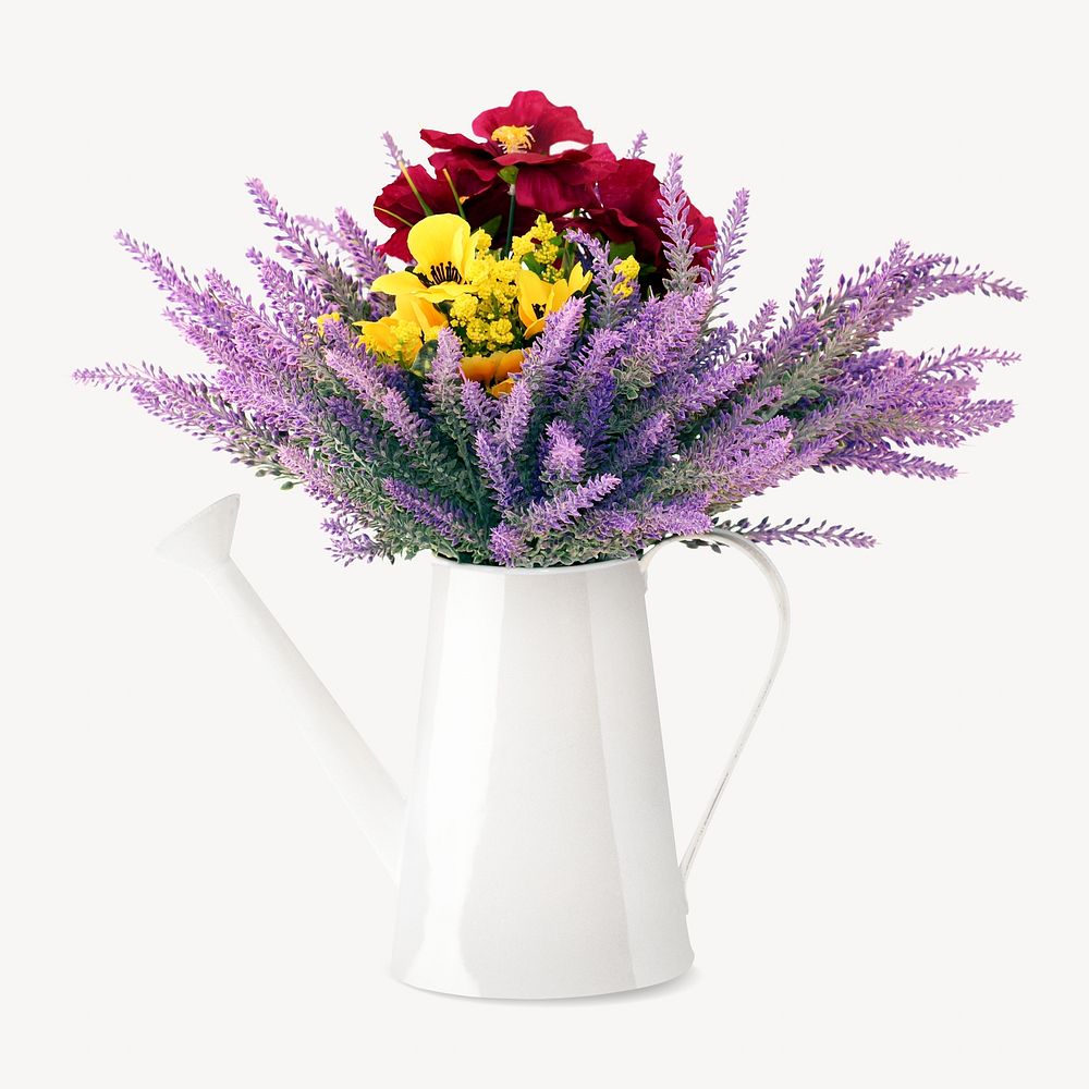 Flower vase blossom isolated image on white