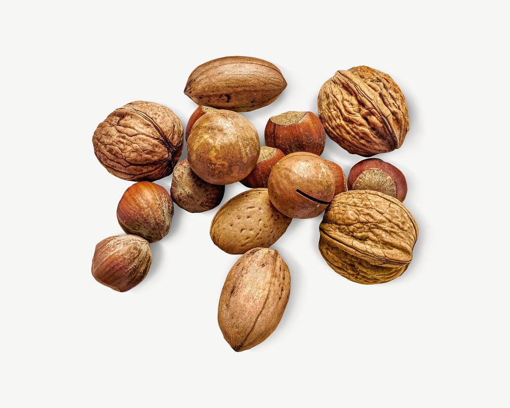 Walnuts, hazelnuts, and macadamia nuts psd