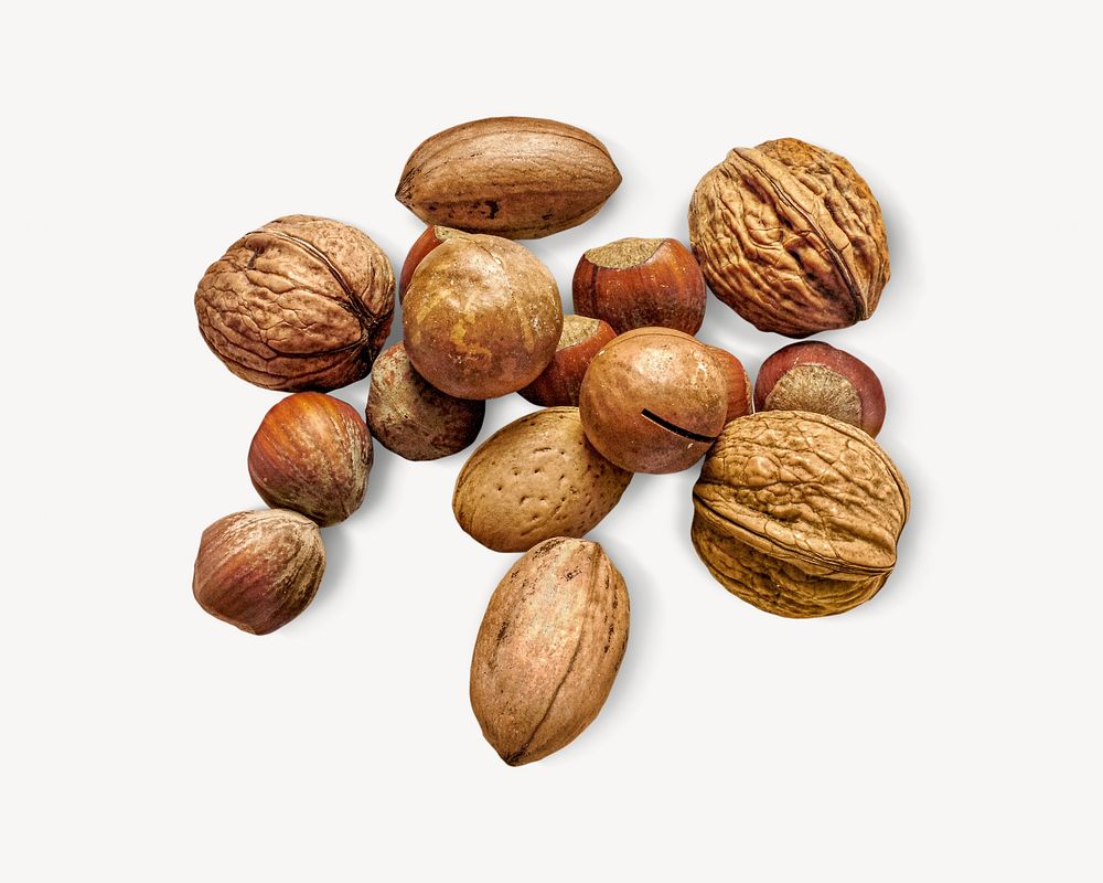 Walnuts, hazelnuts, and macadamia nuts on white background