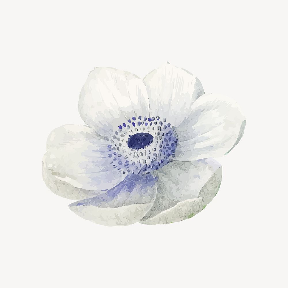 White anemone flower collage element vector