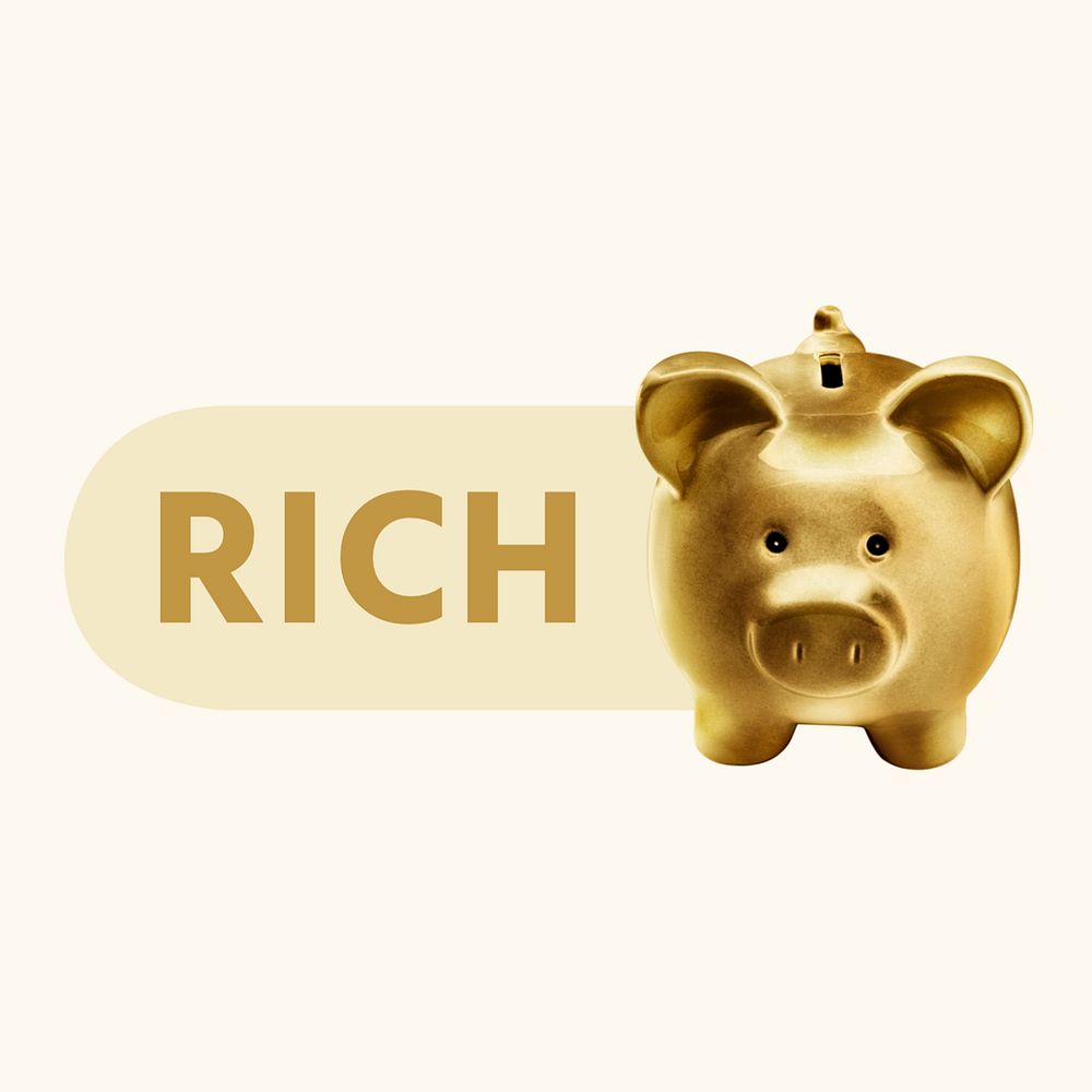 Piggy bank slide icon