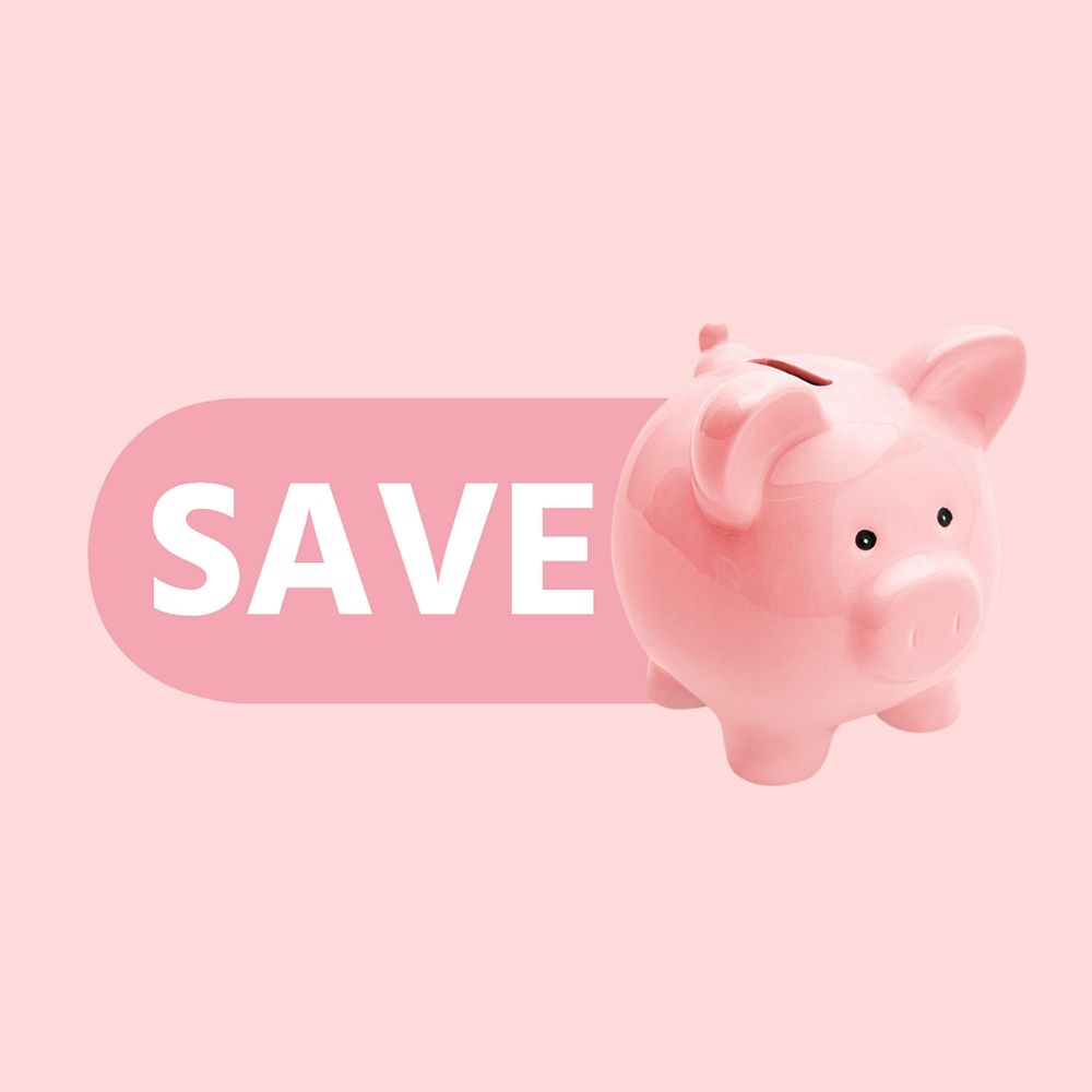 Save money piggy bank icon