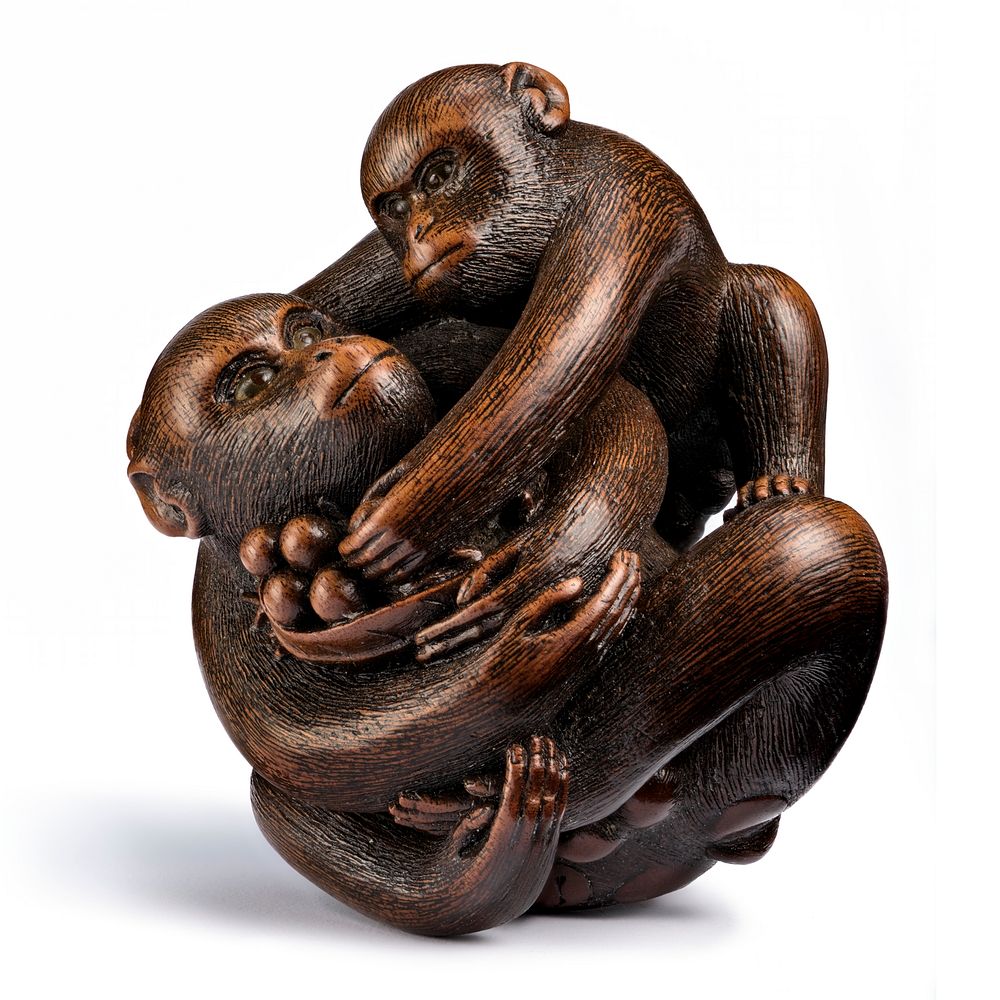 Monkey with Young and Loquat by Kano Tomokazu