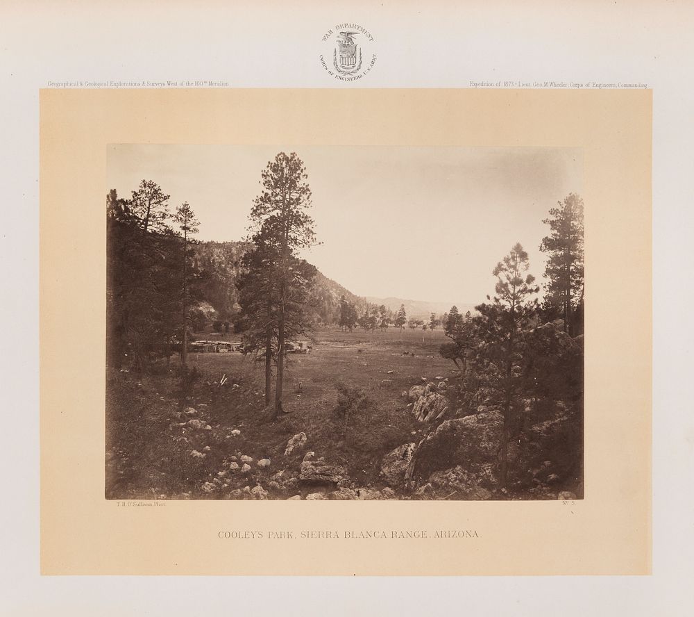 Cooley's Park, Sierra Blanca Range, Arizona by William Abraham Bell and Timothy H O Sullivan