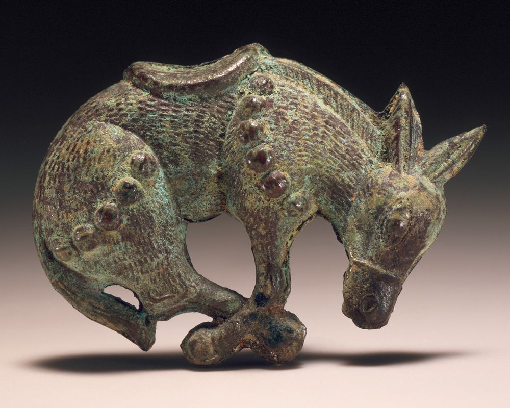Charm in the Form of a Mule