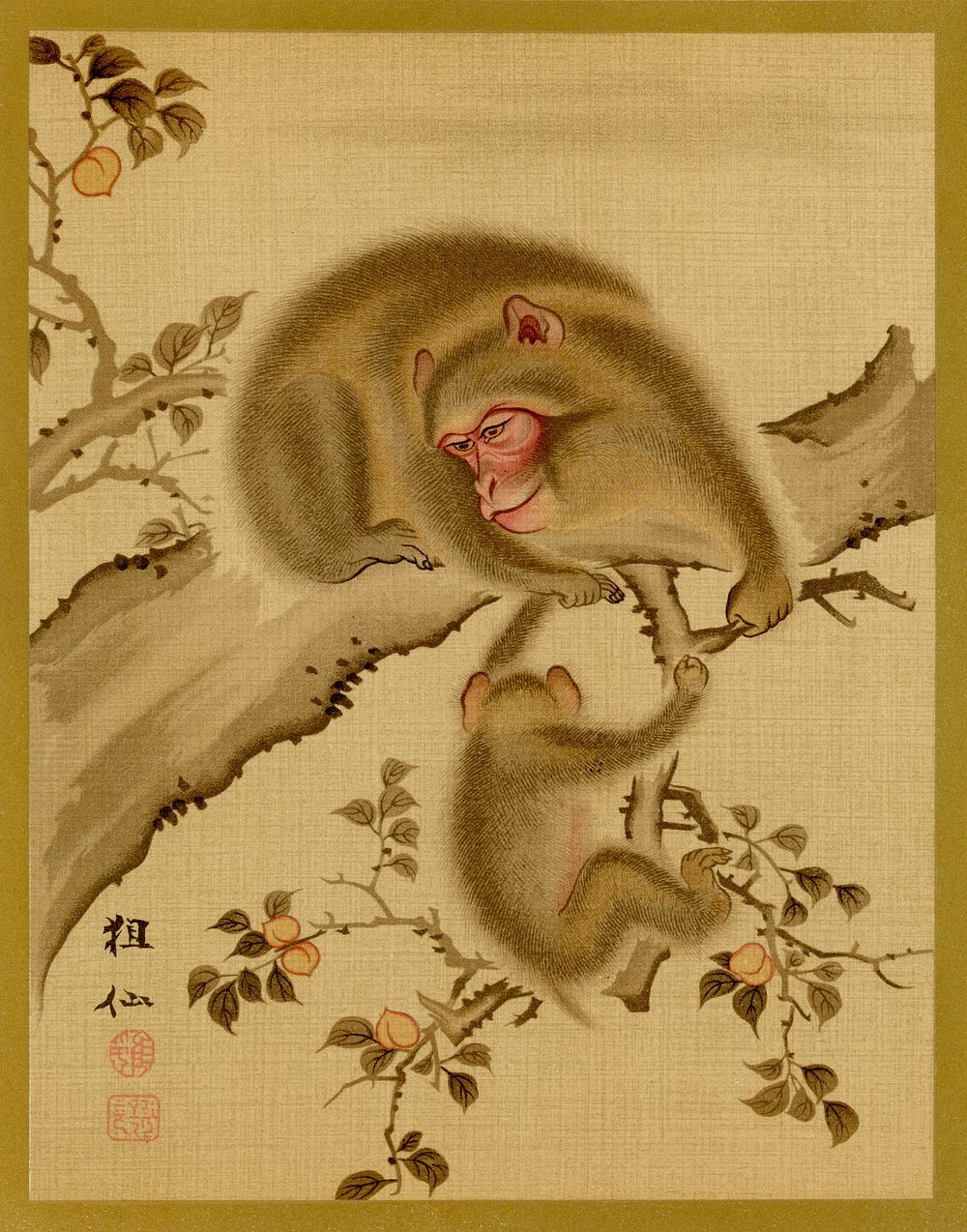 Baby monkey and mother, vintage Japanese animal painting by G.A. Audsley-Japanese illustration. Public domain image from our…