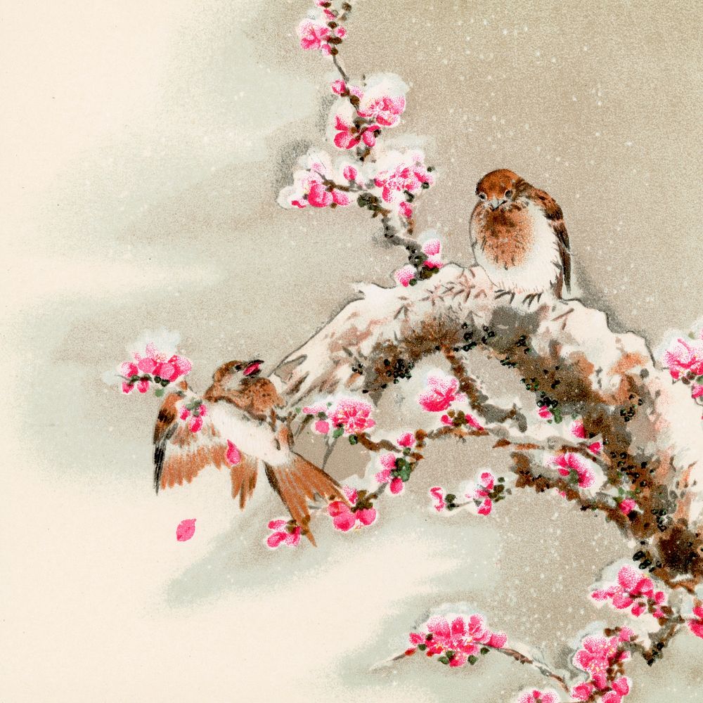 Bird perching on tree top, vintage Japanese animal painting by G.A. Audsley-Japanese illustration. Public domain image from…