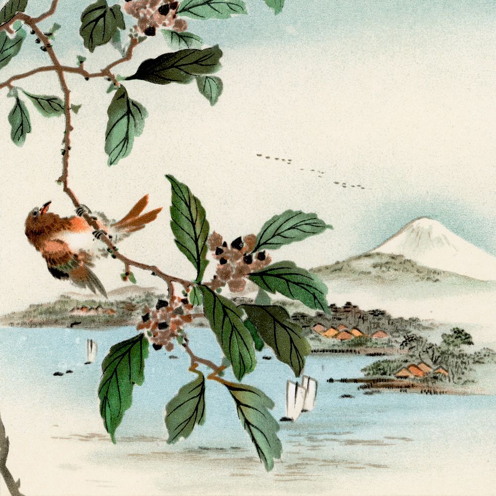 Bird perching on tree top, vintage Japanese animal painting by G.A. Audsley-Japanese illustration. Public domain image from…