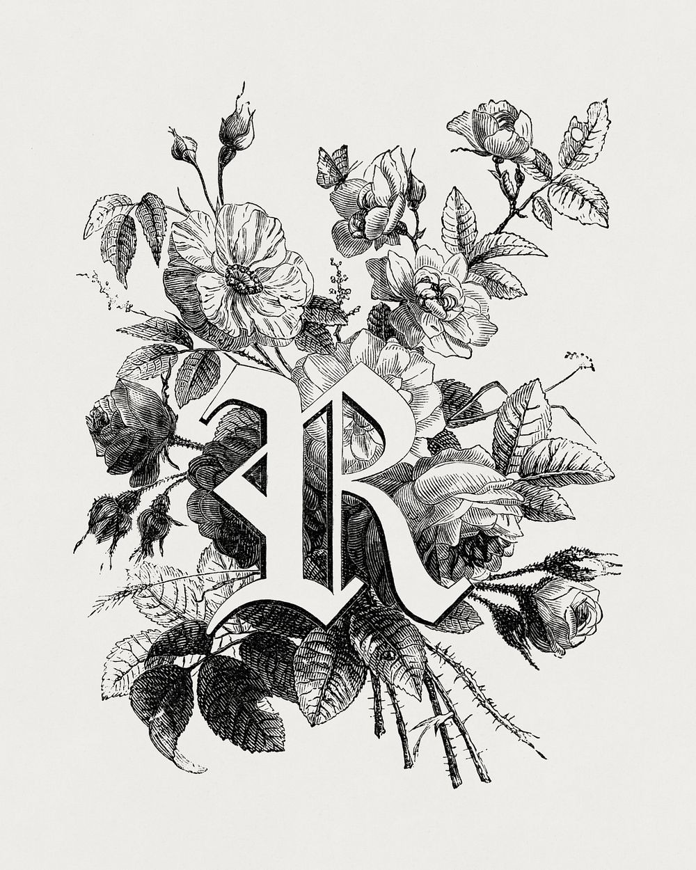 R alphabet, vintage English capital letter by Fran&ccedil;ois-Fr&eacute;d&eacute;ric Grobon. Public domain image from our…
