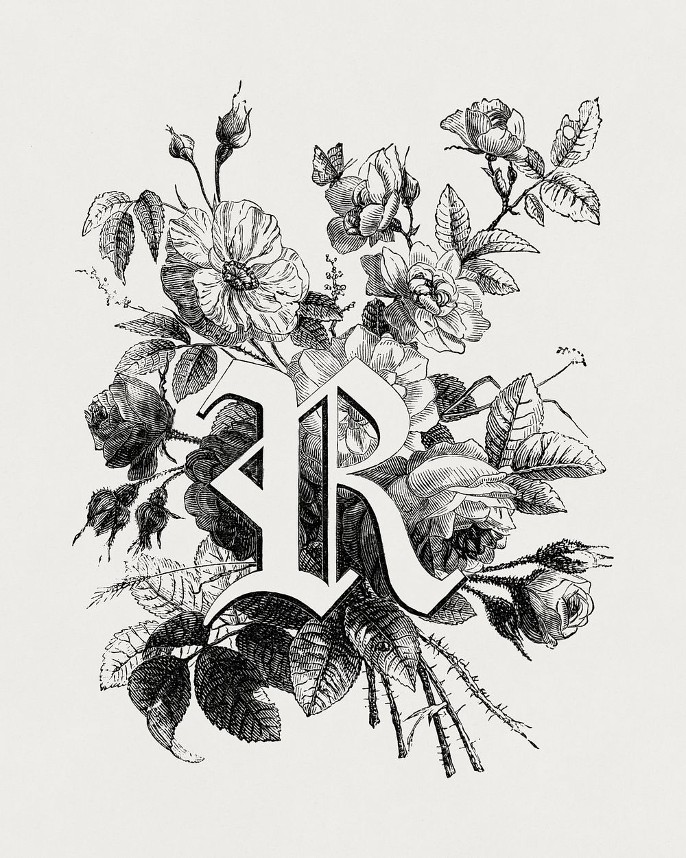 R alphabet, vintage English capital letter by François-Frédéric Grobon. Public domain image from our own 1873 edition…