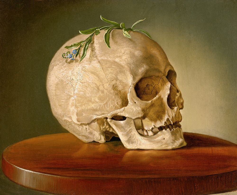 Still life with a skull and a forget-me-not (1860) oil painting by Franti&scaron;ek Klimkovič. Original public domain image…