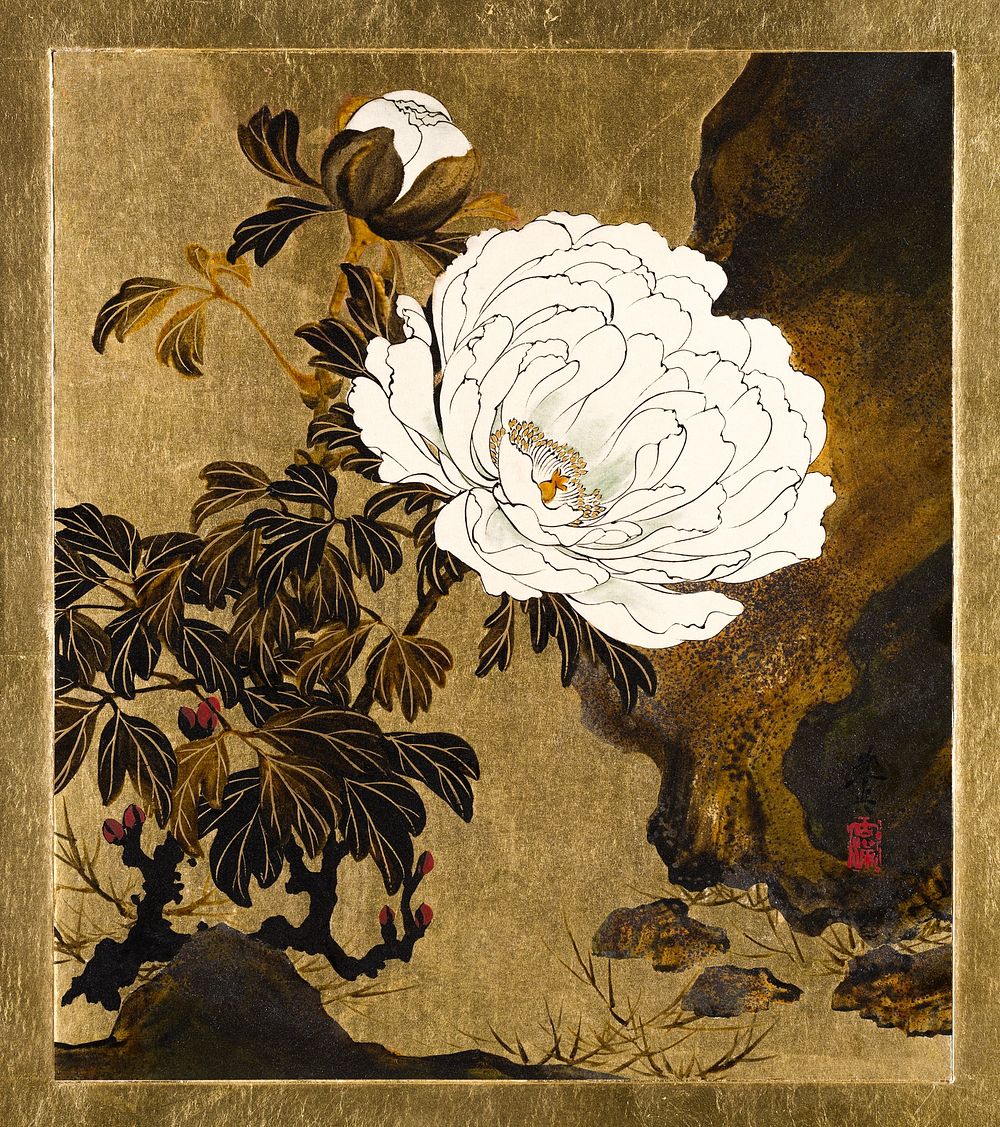 Lacquer Paintings of Various Subjects: Peonies, flower illustration by Shibata Zeshin. Original public domain image from The…