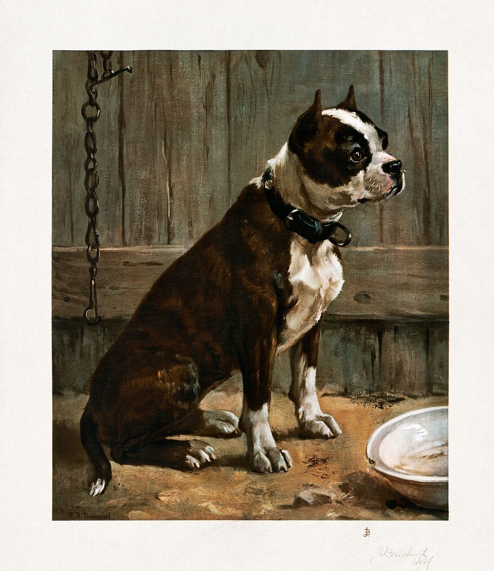 Terrier seated (861&ndash;1897) chromolithograph art by Frances Barnard Townsend. Original public domain image from Digital…